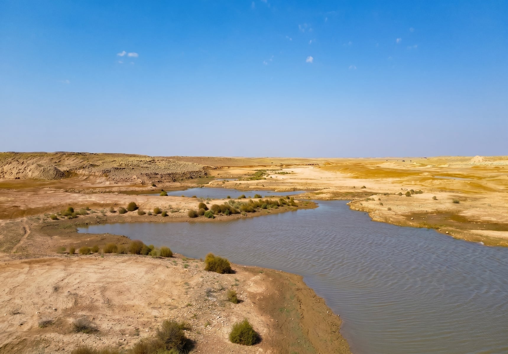 Design for Wild Plain Park in the Imam Turki Bin Abdullah Royal Reserve
