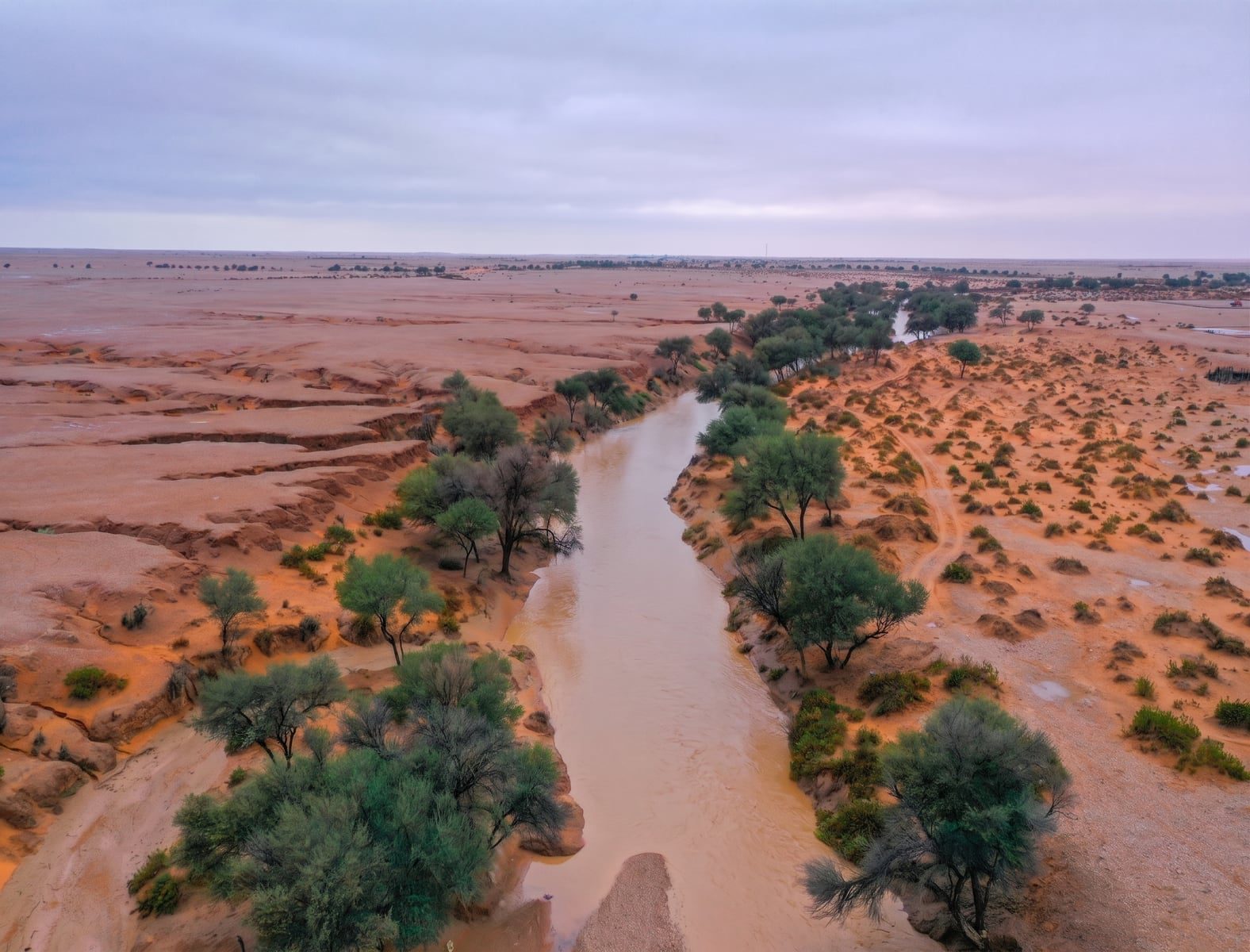 King Abdul Aziz Royal Reserve Project