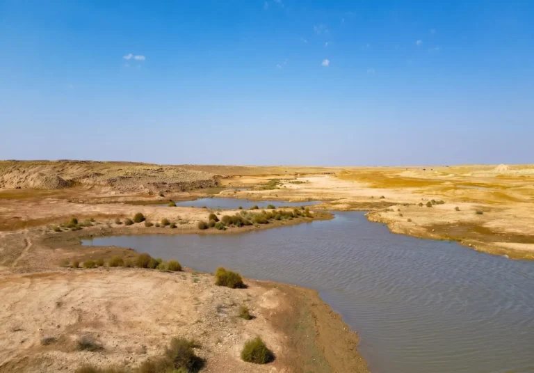 Design for Wild Plain Park in the Imam Turki Bin Abdullah Royal Reserve