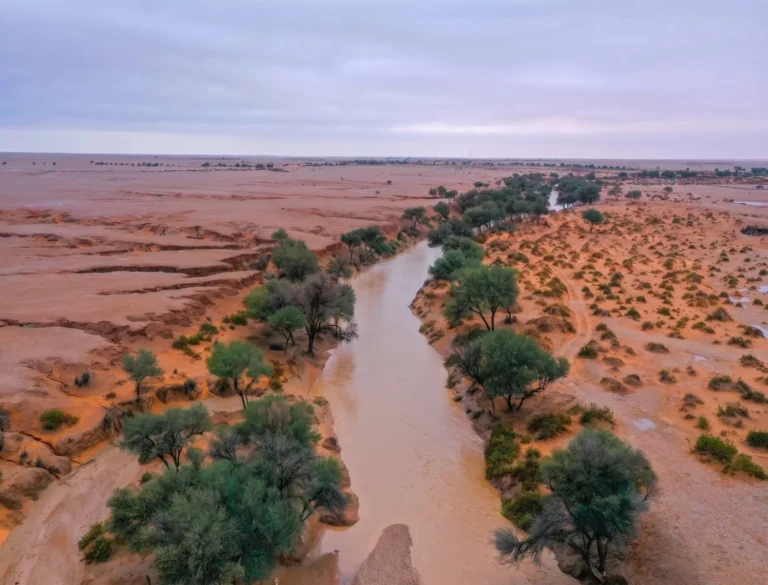 King Abdul Aziz Royal Reserve Project